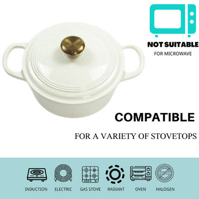 Ελεύθερο Casserole 21/22cm χυτοσιδήρου σκουριάς ολλανδικός φούρνος για 2-4 ανθρώπους