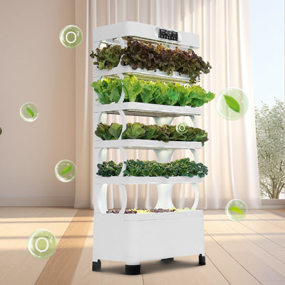 Υδροπονικό Σύστημα Veggiefloe ∙ Φρέσκα, Υγιεινά και Βιώσιμα Οικιακά Λαχανικά